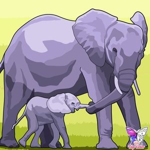 Meet your Posher, Rosie